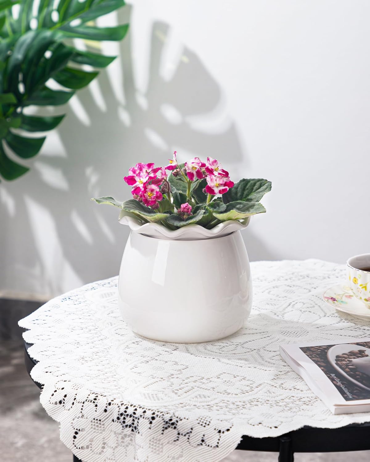 Self Watering Plant Pot, 6 Inch African Violet Pots Maintenance, Ceramic Self-Watering Planter for Indoor Plants