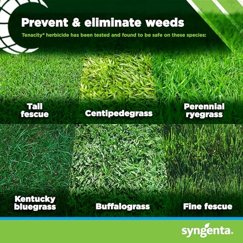 Syngenta Tenacity Herbicide - Pre-Emergent and Post-Emergent Weed Control, 8-oz. Liquid Weed Killer for Lawns and Turf Grasses