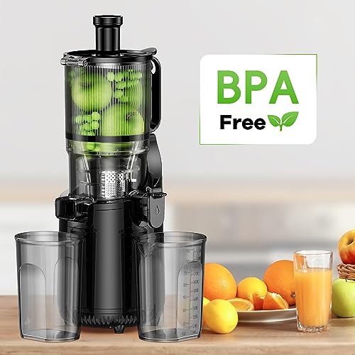 Cold Press Juicer
