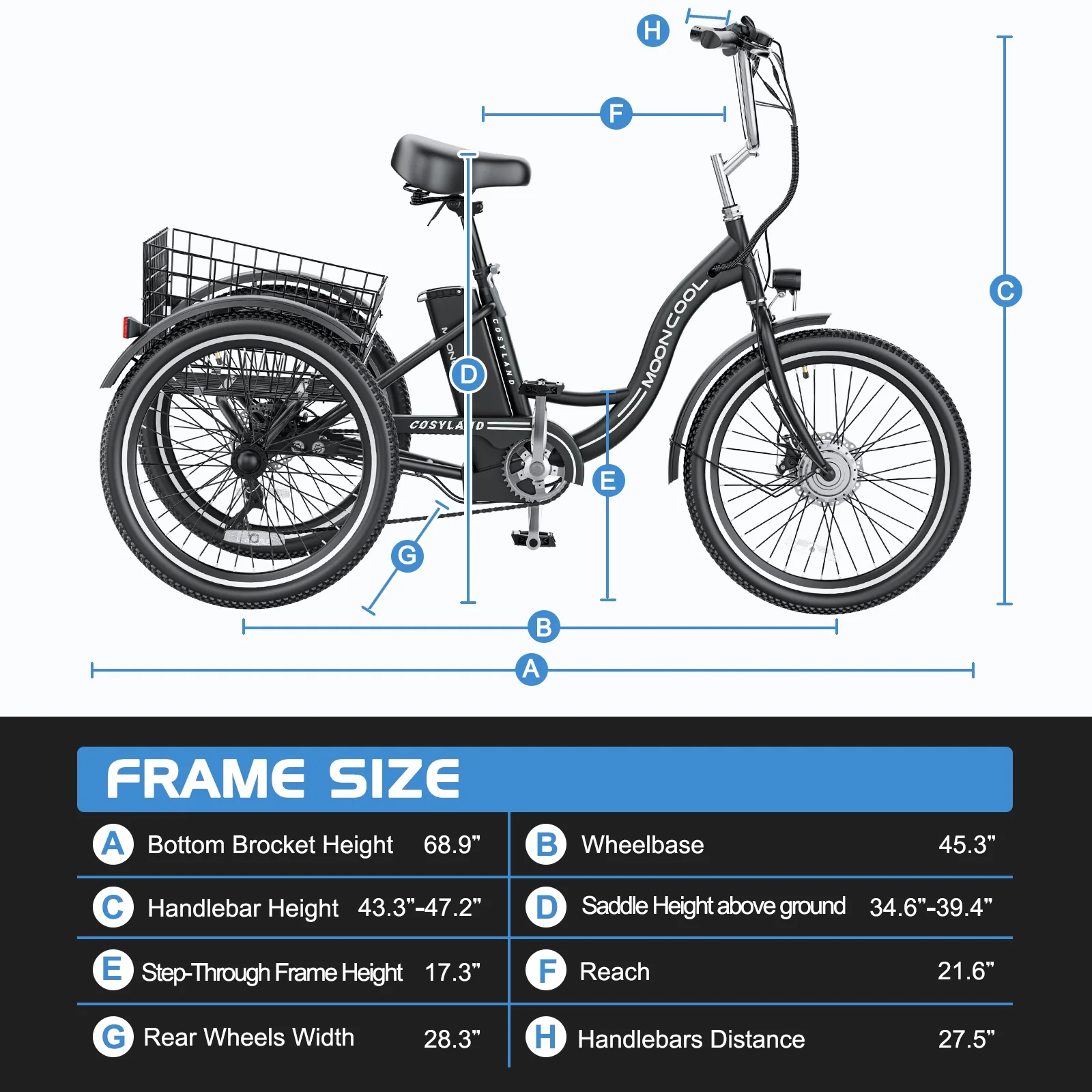 NAIZEA 24 3 Wheel Electric Bike for Senior, 350w Adults Electric Trike, Three Wheel Ebike Bicycle with Removable 36V 10Ah Lithium Battery