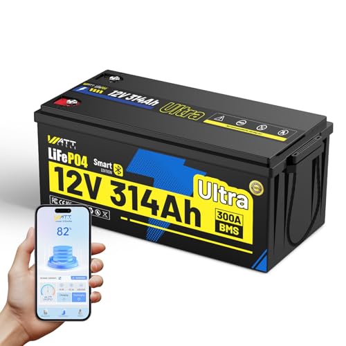 12V 314Ah Mini LiFePO4 Lithium Battery with Bluetooth 5.0, 200A BMS, 4.01kWh Energy, Upgraded Aluminum Cooling Fins & Braided Copper Wires, for RV