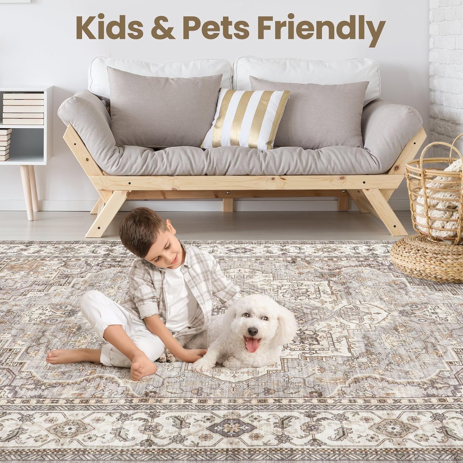 Washable Area Rugs for Living Room