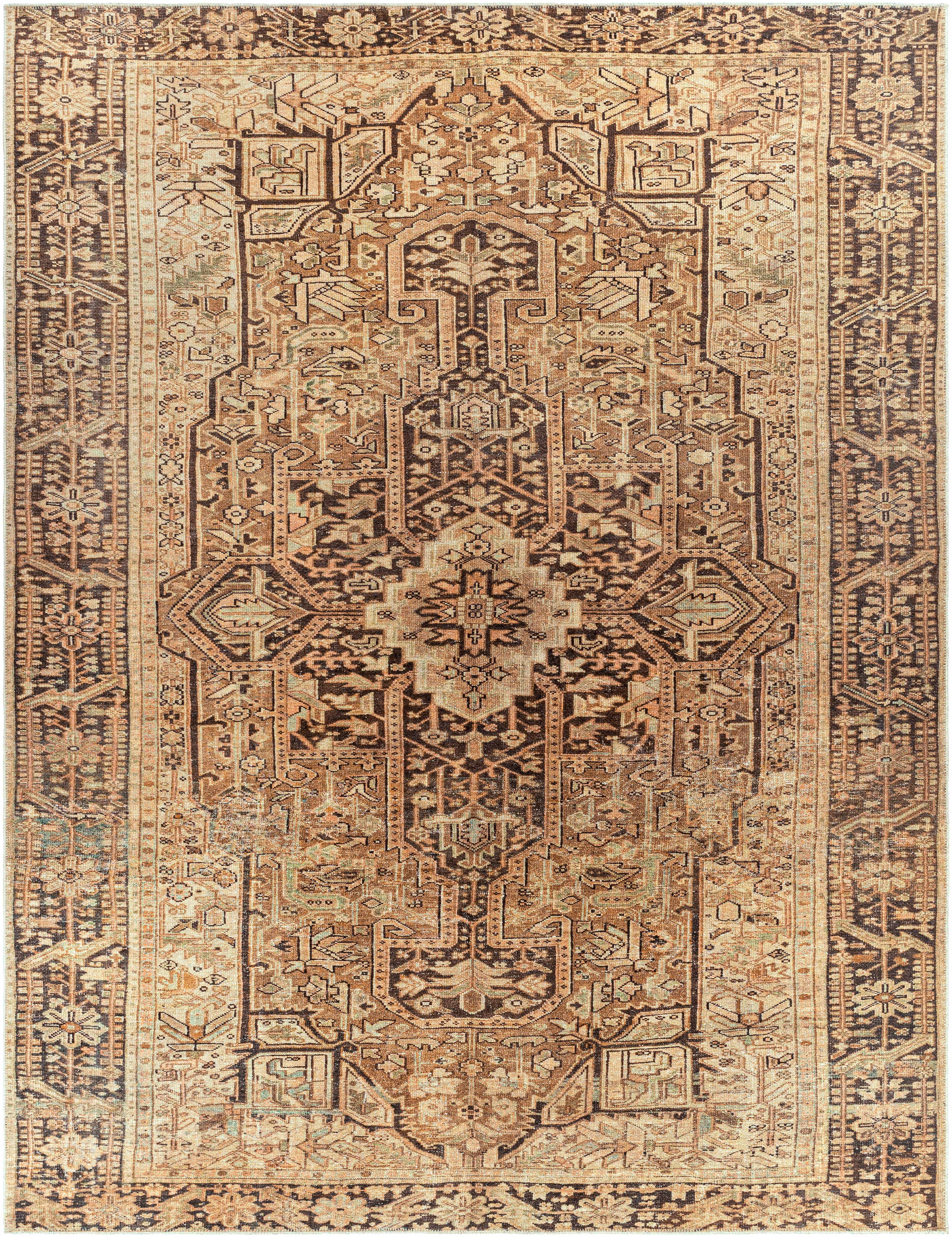 Hauteloom Buliran Living Room, Bedroom Machine Washable Area Rug - Traditional - Brown, Green - 7'10" x 10'2"
