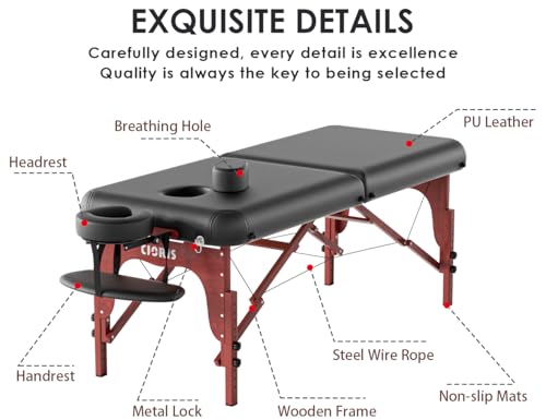 CLORIS 84" Professional Massage Table Portable 2 Folding Lightweight Facial Solon Spa Tattoo Bed Height Adjustable with Carrying Bag & Aluminium Leg