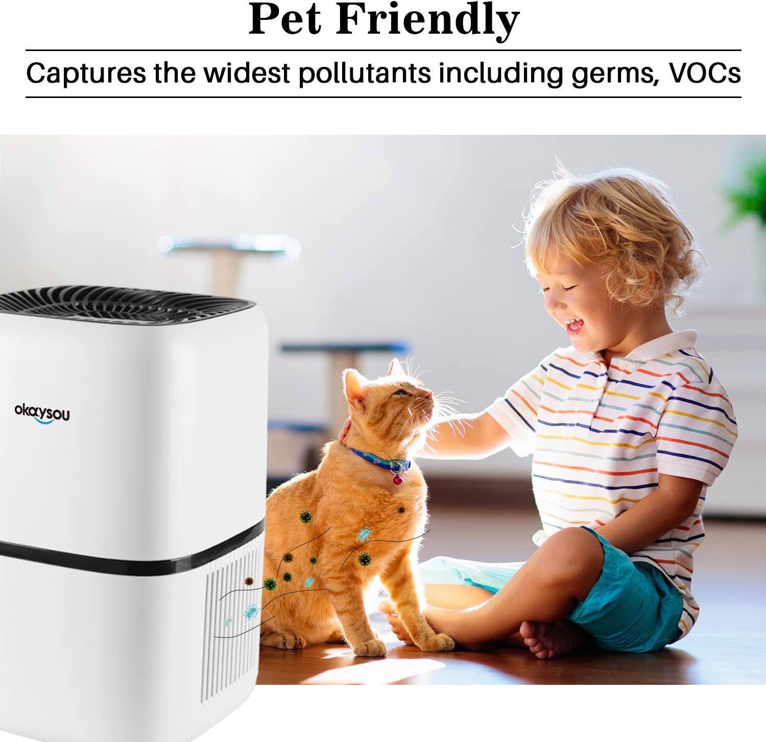 Okaysou AirMic4S Medical Grade Air Purifier for Home Allergies and Pets