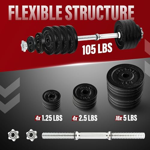 Yes4All Old School Adjustable Dumbbell Set with Weight Plates, Star Lock Collars/Connector, 40lbs to 200lbs Adjustable Weight Plates Set