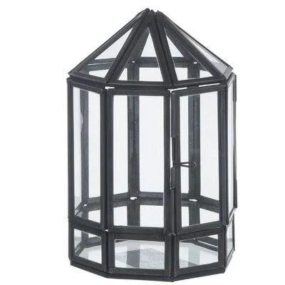 Cawthon Mini Iron Terrarium (Set of 2) Gracie Oaks