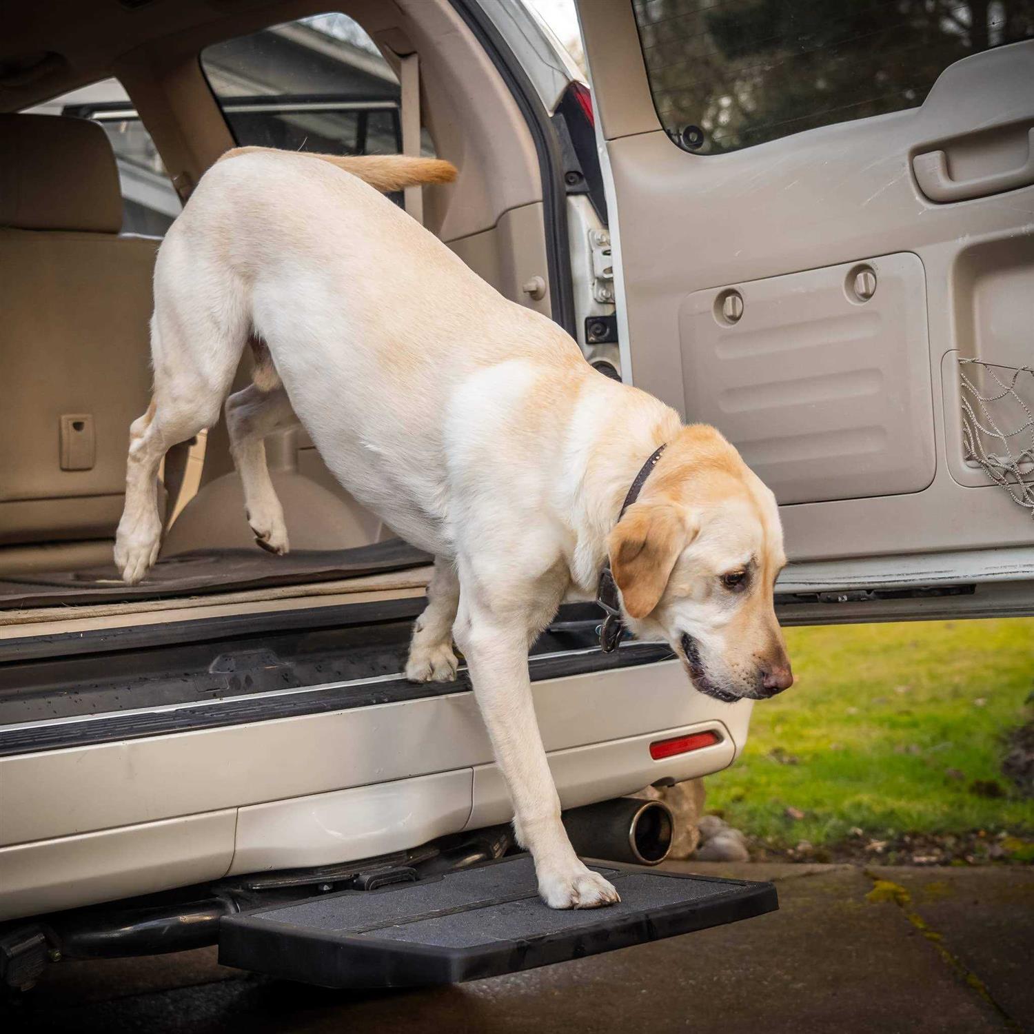 Otto Step Car Pet Ramp Pet Step - Pet Supplies online store
