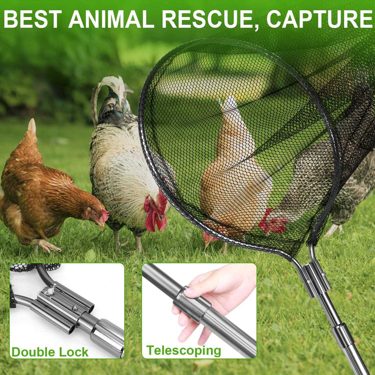 Dayimado Catch Net, Small Animal Catcher Net for Chicken, Duck, Goose, Fish, Cat, Bird and Others - Pet Supplies online store