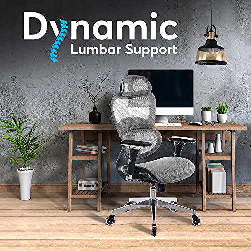 Oline ErgoPro Ergonomic Office Chair, Rolling Desk Chair with 4D Adjustable Armrest, 3D Lumbar Support, Blade Wheels