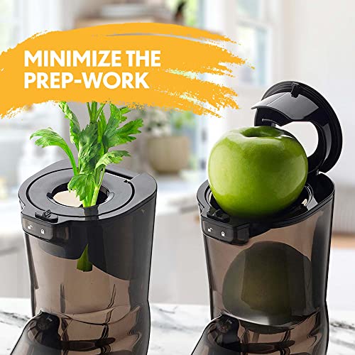 Kuvings Whole Slow Juicer EVO820CG Higher Nutrients and Vitamins, BPA-Free Components, Easy to Clean, Ultra Efficient 240W, 50RPMs