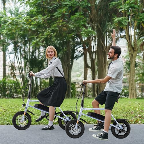 Winado Electric Bike for Adults, 14" Folding Electric Bicycle 450W Motor with Dual Disc Brakes, Max Range 25Miles(Pedal-Assist) & Speed 15.5MPH