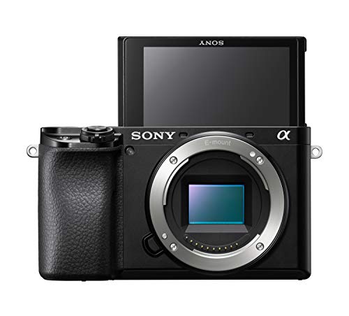 Sony Alpha A6100 Mirrorless Camera