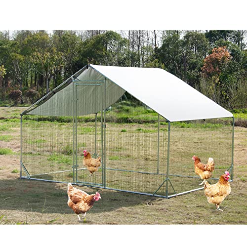 Large Metal Chicken Coop