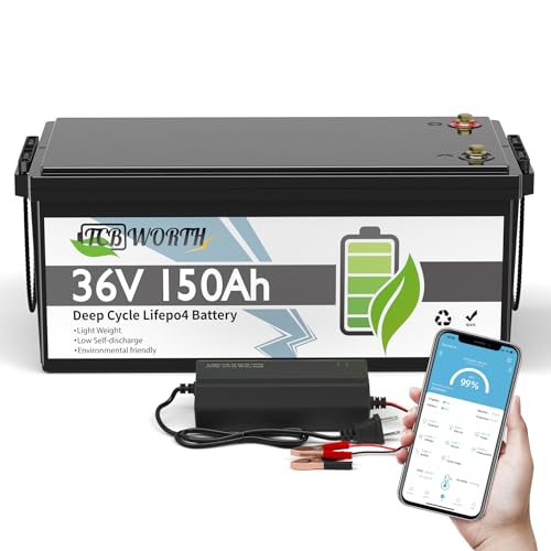 12V 100Ah LiFePO4 Battery, Rechargeabel Deep Cycle Lithium Batteries, 100A BMS with Low-Temp Protection, Perfect for RV, Solar, Boat, Marine