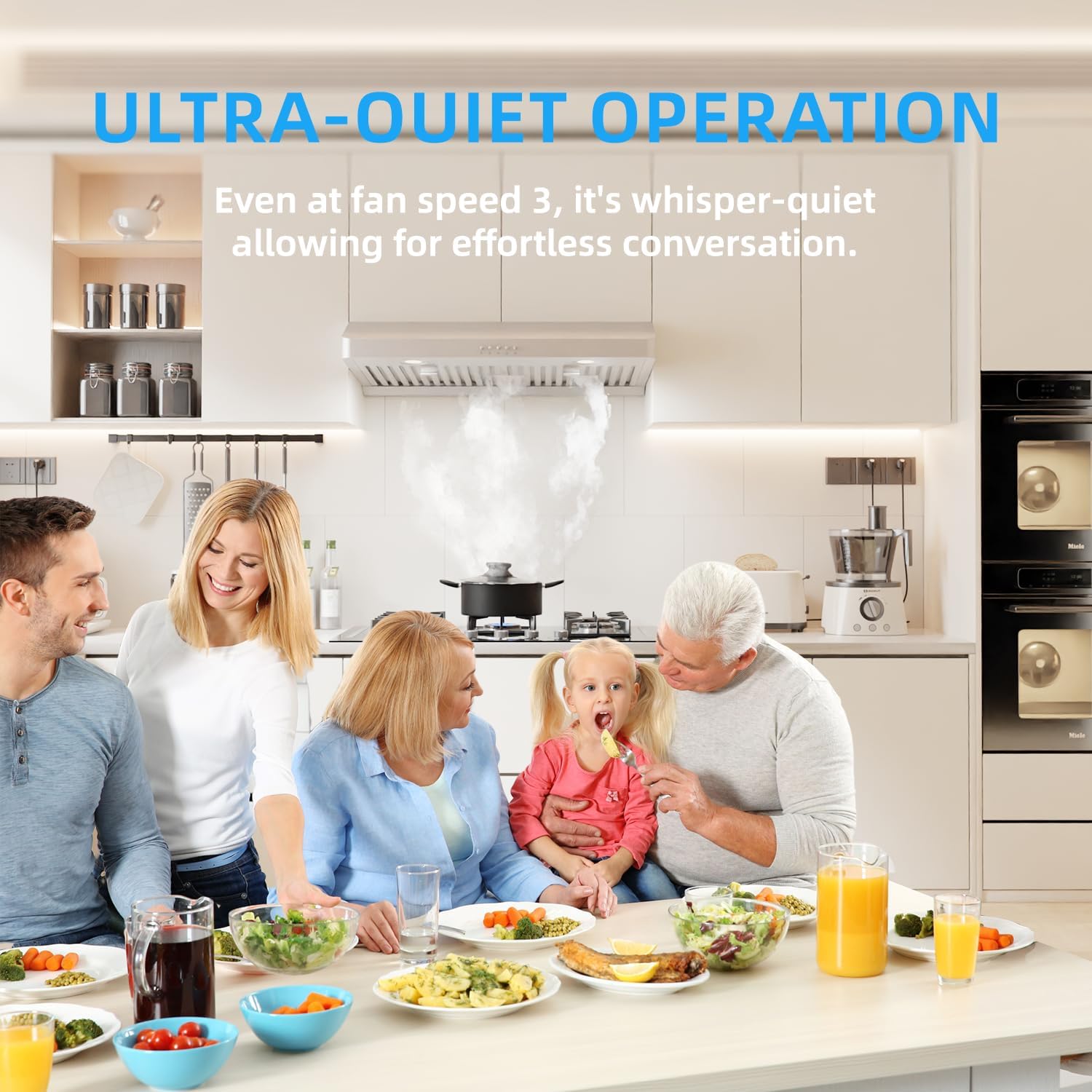 30 Inch Under Cabinet Range Hood with Two Powerful Motors, 750CFM,3 Speed Exhaust Fan, 2 Pcs Baffle Filters and Stainless Steel Vent Stove Hood