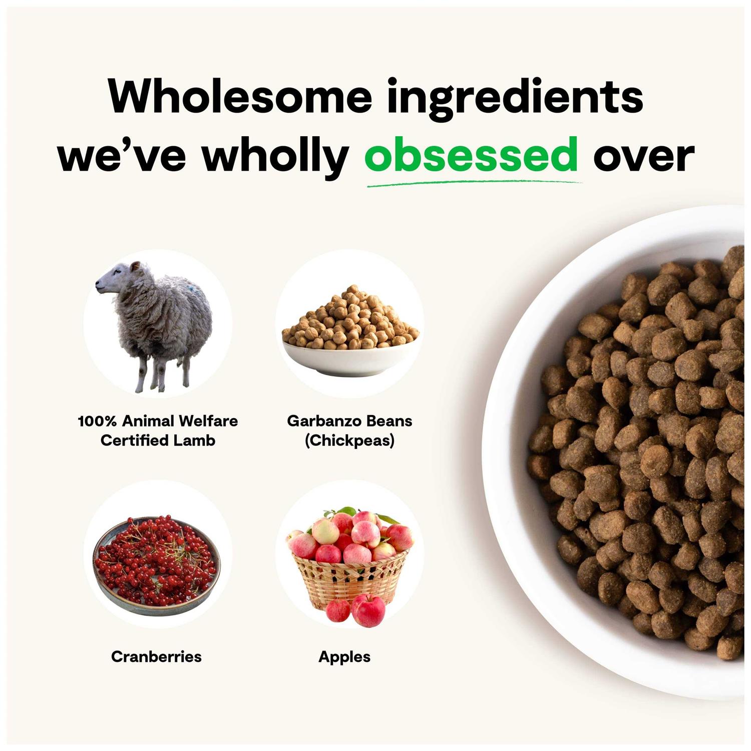 Open Farm Grain-Free Pasture Raised Lamb Dry Dog Food - Pet Supplies online store