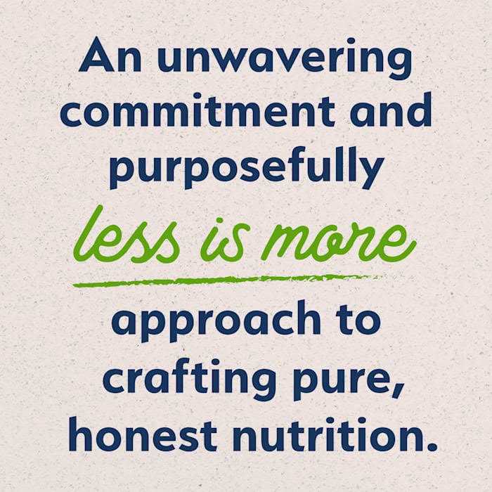 Natural Balance Limited Ingredient Vegetarian Recipe Dry Dog Food - Pet Supplies online store