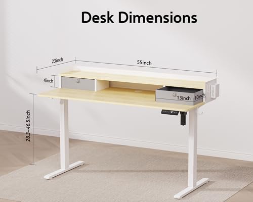 48x24 Inches Electric Standing Desk with 2 Drawers, Height Adjustable Stand up Desk for Home Office, Ergonomic Sit to Stand Table with Storage Shelf