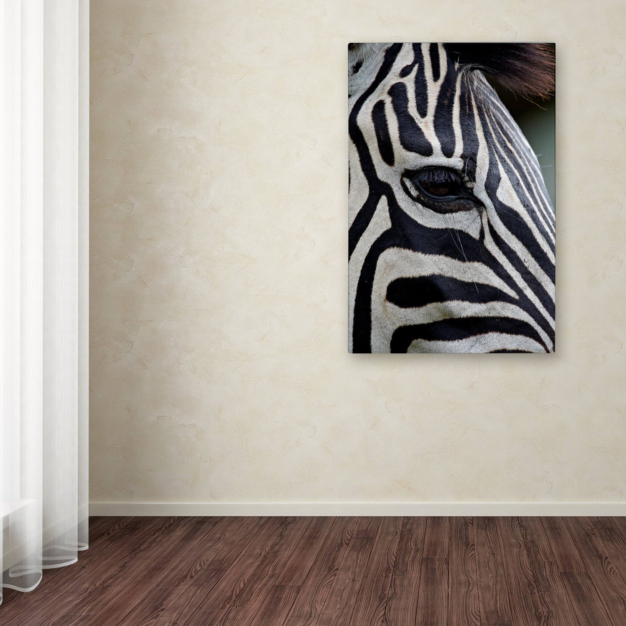 Robert Harding Picture Library 'Zebras' Canvas Art ALI19174-C
