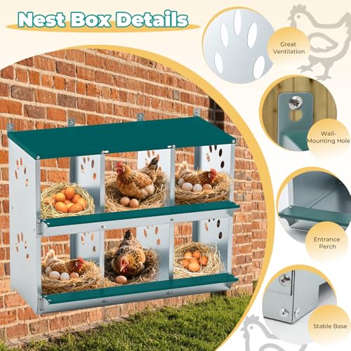 Chicken Coop Nesting Boxes, Wall Mountable Metal Chicken Nesting Box, Easy Egg Collection Roll Away Nesting Boxes Chicken