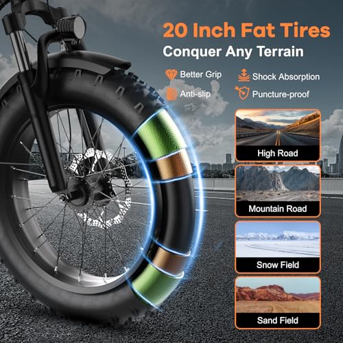 Folding Electric Bike for Adults with Peak 1000W Motor, 48V 20AH Battery up to 30MPH 80 Miles, 20" Fat Tire All Terrain Ebike