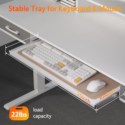 48x24 Inches Electric Standing Desk with 2 Drawers, Height Adjustable Stand up Desk for Home Office, Ergonomic Sit to Stand Table with Storage Shelf