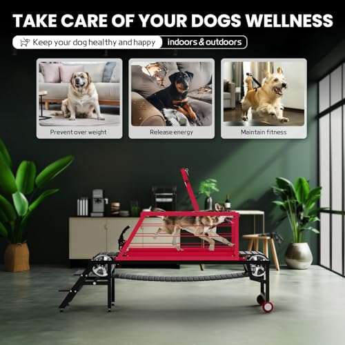 Dog Treadmill for Medium Large Dogs,91" Treadmill for Dogs with Brake