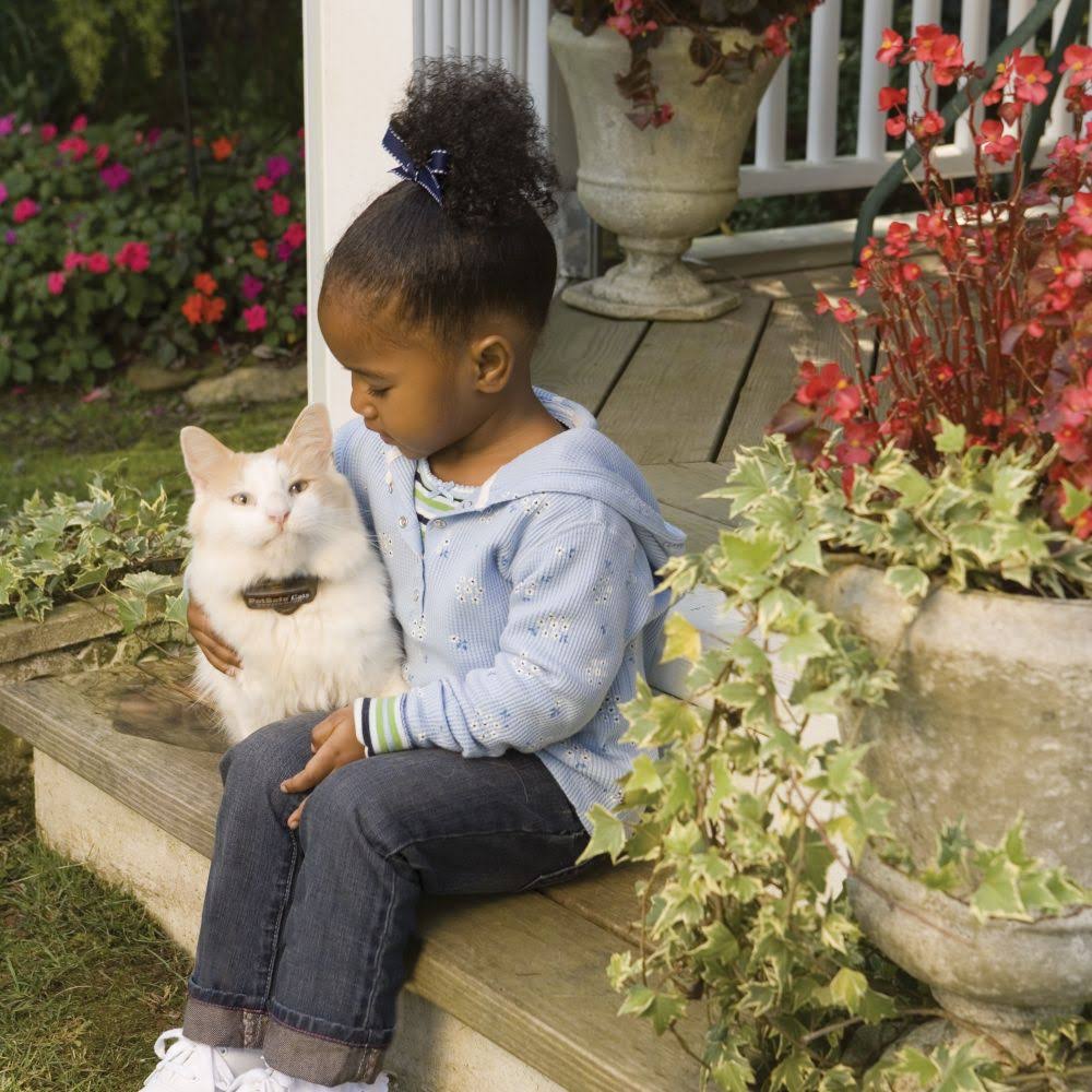 PetSafe In-Ground Cat Fence Receiver Collar