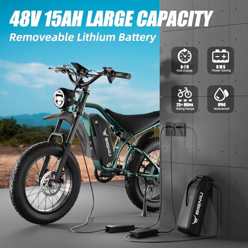Electric Bike for Adults – 20" Fat Tire, Peak 1200W Motor, 48V 15A Battery, 7-Speed, Dual Disc Brakes for Off-Road and City Riding BG-S