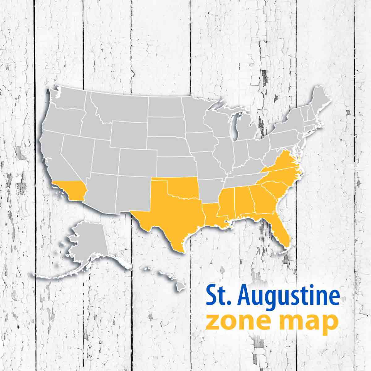 St. Augustine 500 sq. ft. Sod Pallet - Radiant Selections