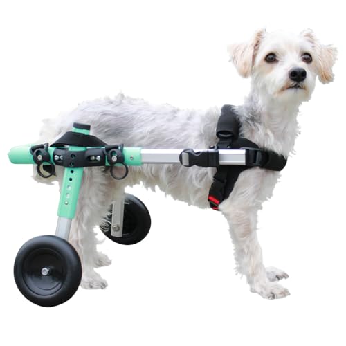 Walkin' Wheels Small Dog Wheelchair, Lightweight Dog Wheelchair for Back Legs, 15-25 lbs, for 9-11 inches Leg Height - Blue