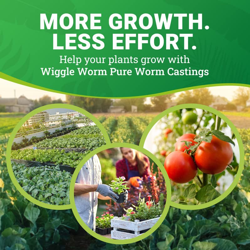 Wiggle Worm 100% Pure Organic Worm Castings Fertilizer, 30-Pounds - Improves Soil Fertility and Aeration for Houseplants, Vegetables, Gardens