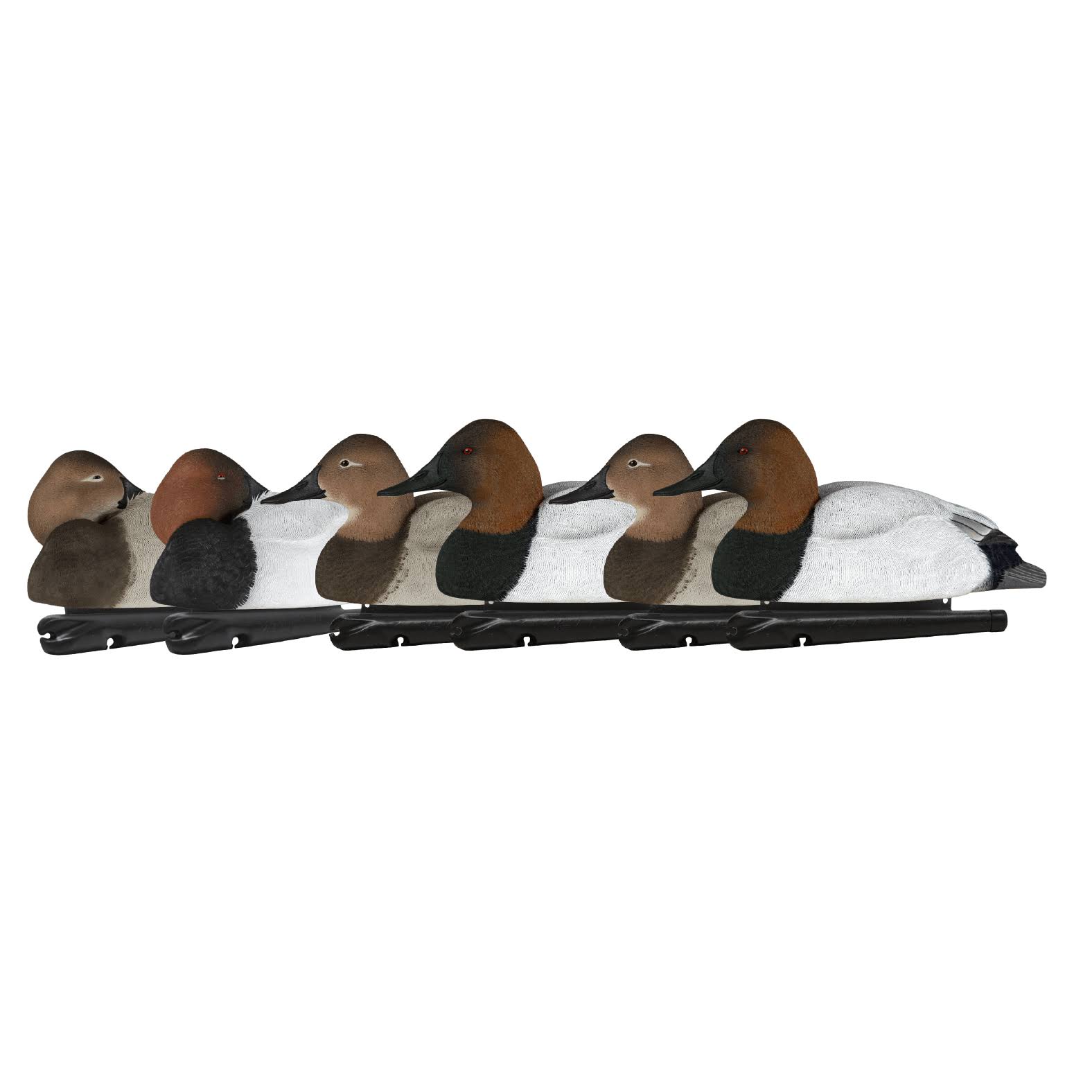 Avian-X Topflight Canvasback Duck Decoys 6 Pack