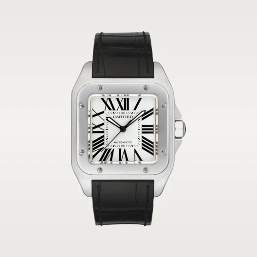 SANTOS 100 Silver Gray 38mm