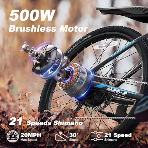 VARUN Electric Bike - Ebikes for Adults Peak 500W /750W 20MPH Commuter Ebike with 36V/48V 7.8AH Removable Battery, 24''