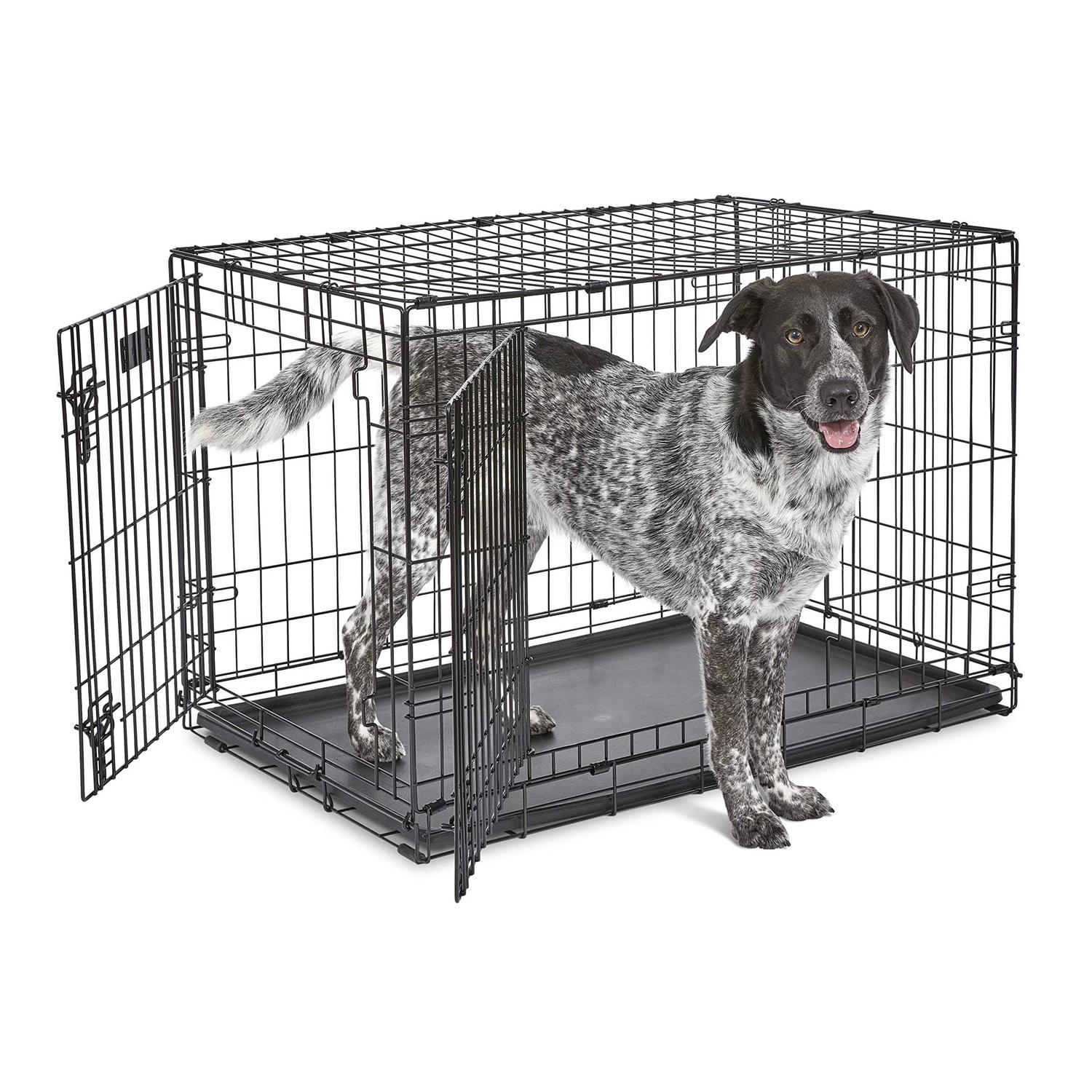MidWest iCrate Double Door Fold Carry Dog Crate - Pet Supplies online store