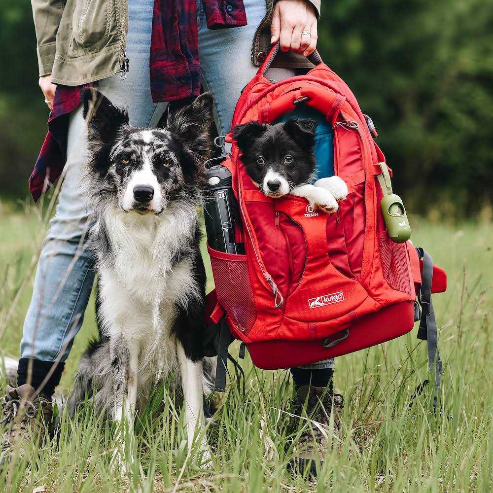 Kurgo G-Train Backpack Dog Carrier - Pet Supplies online store