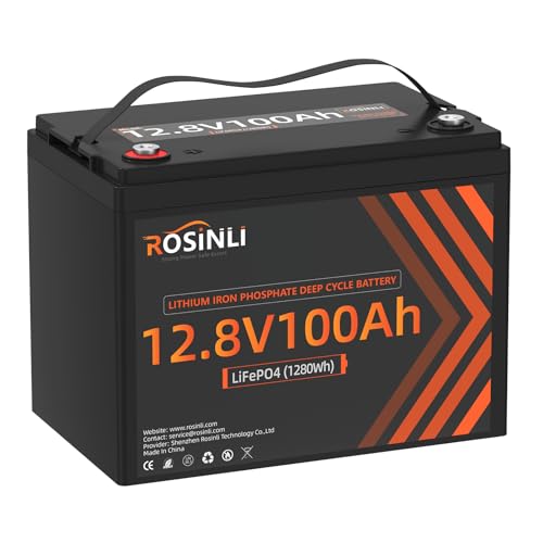 12V 100Ah BCI Group 24 LiFePO4 Battery, Built in 100A BMS, Max. 15000 Deep Cycle Lithium Rechargeable Battery for RV, Trolling Motor, Camping, Marine