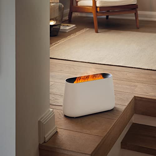 Stadler Form Ben Humidifier