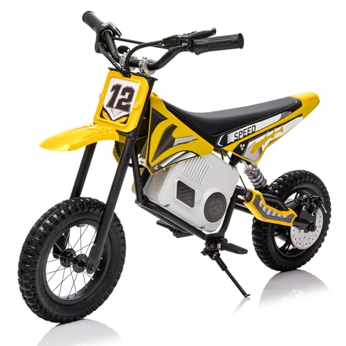 KerryYoo 36V 350W C11 Electric Dirt Bike for Kids 8-14, Up to 16MPH Off-Road Electric Motorcycle with Explosion-Proof Tires, Twist Grip Throttle