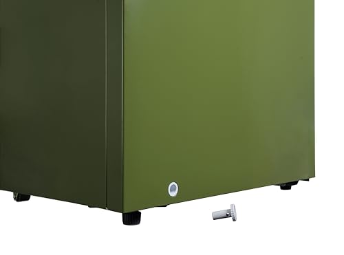 Newair 13.8 cu. ft. Upright Freezer, Fridge Freezer Convertible, Garage Ready Refrigerator, Frost Free Freezer with Door Alarm, Stand up Deep Freezer