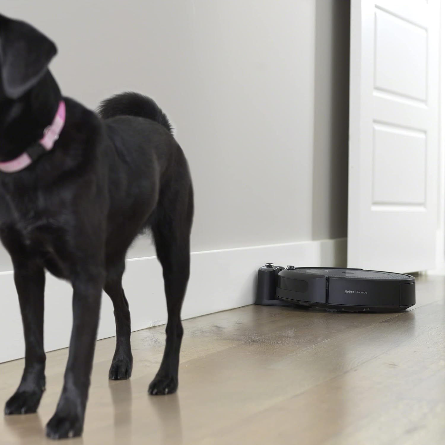 iRobot Roomba i4 (4192) Wi-Fi Connected Robot Vacuum Vacuum - Wi-Fi Connected Mapping, Compatible with Alexa, Ideal for Pet Hair, Carpets (Renewed)