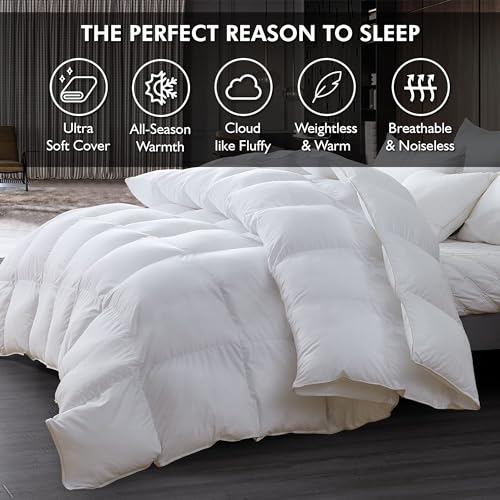 Luxurious Oversized King 108" x 98" Size Goose Down Fiber Waterfowl Feather Fiber Comforter Duvet, 100% Egyptian Cotton Cover, 65 oz. Fill Weight