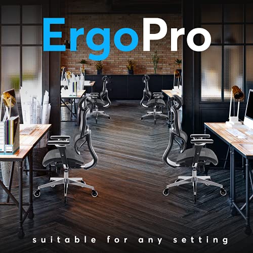 Oline ErgoPro Ergonomic Office Chair, Rolling Desk Chair with 4D Adjustable Armrest, 3D Lumbar Support, Blade Wheels