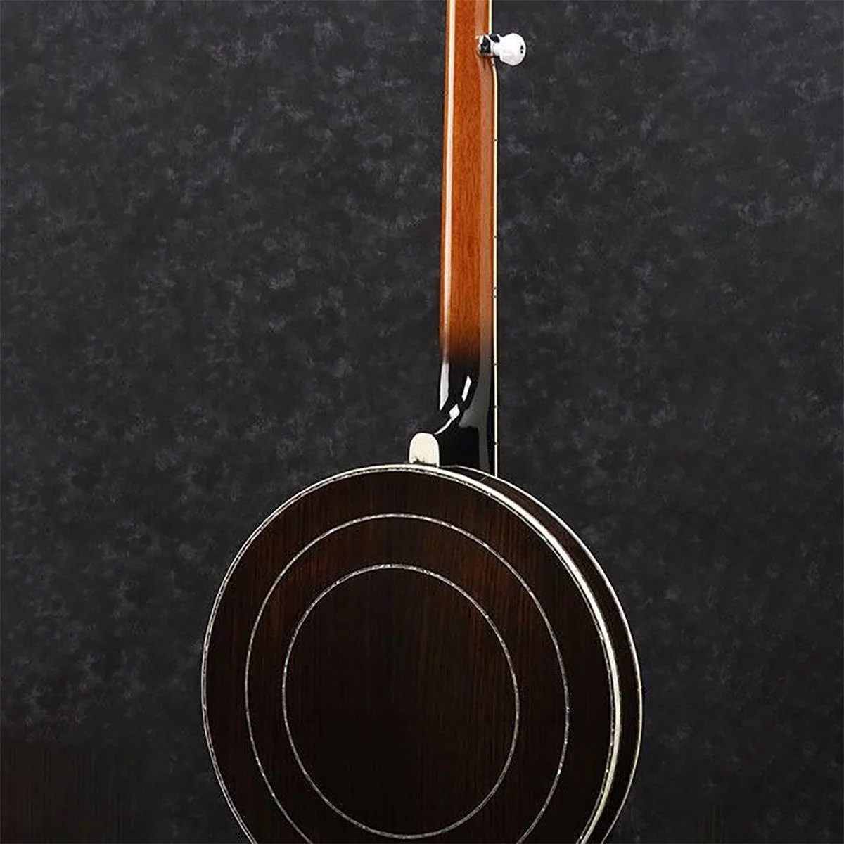 Ibanez B300 5-String Banjo - Radiant Selections