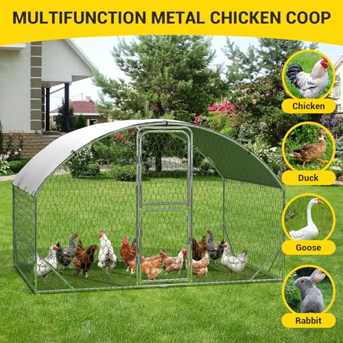 Large Metal Chicken Coop with Run,9.8×13.1×6.6ft Walk-in Poultry Cage