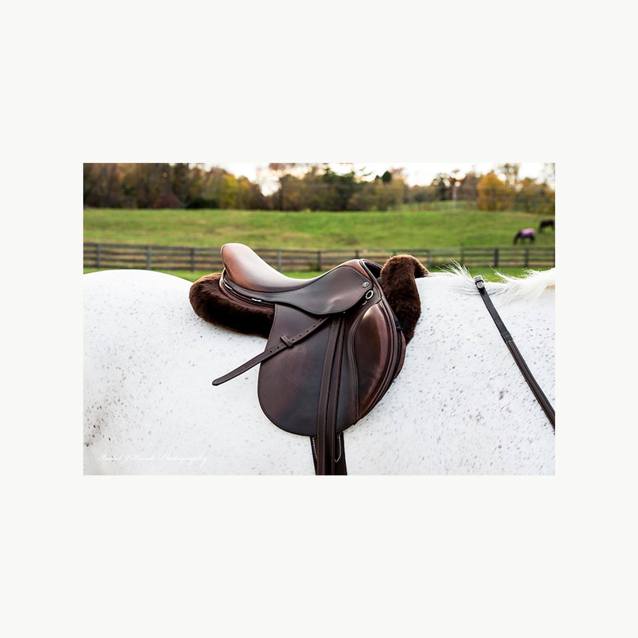 Thinline Full Sheepskin Trifecta Correction Half Saddle Pad in Black, Large
