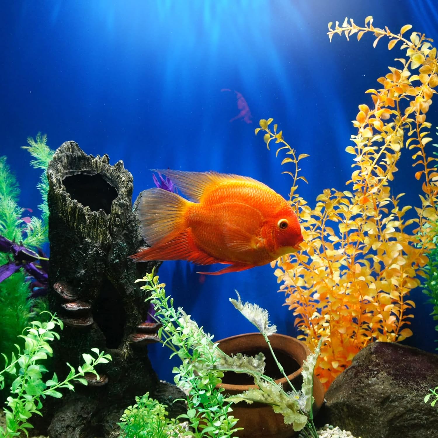 Bio Pressure Pond Filter with Built-in 13 W U-V Light Up to 1600 Gallons, Koi Pond Filter System with Convenient Cleaning Crank Handle, Easy to Clean