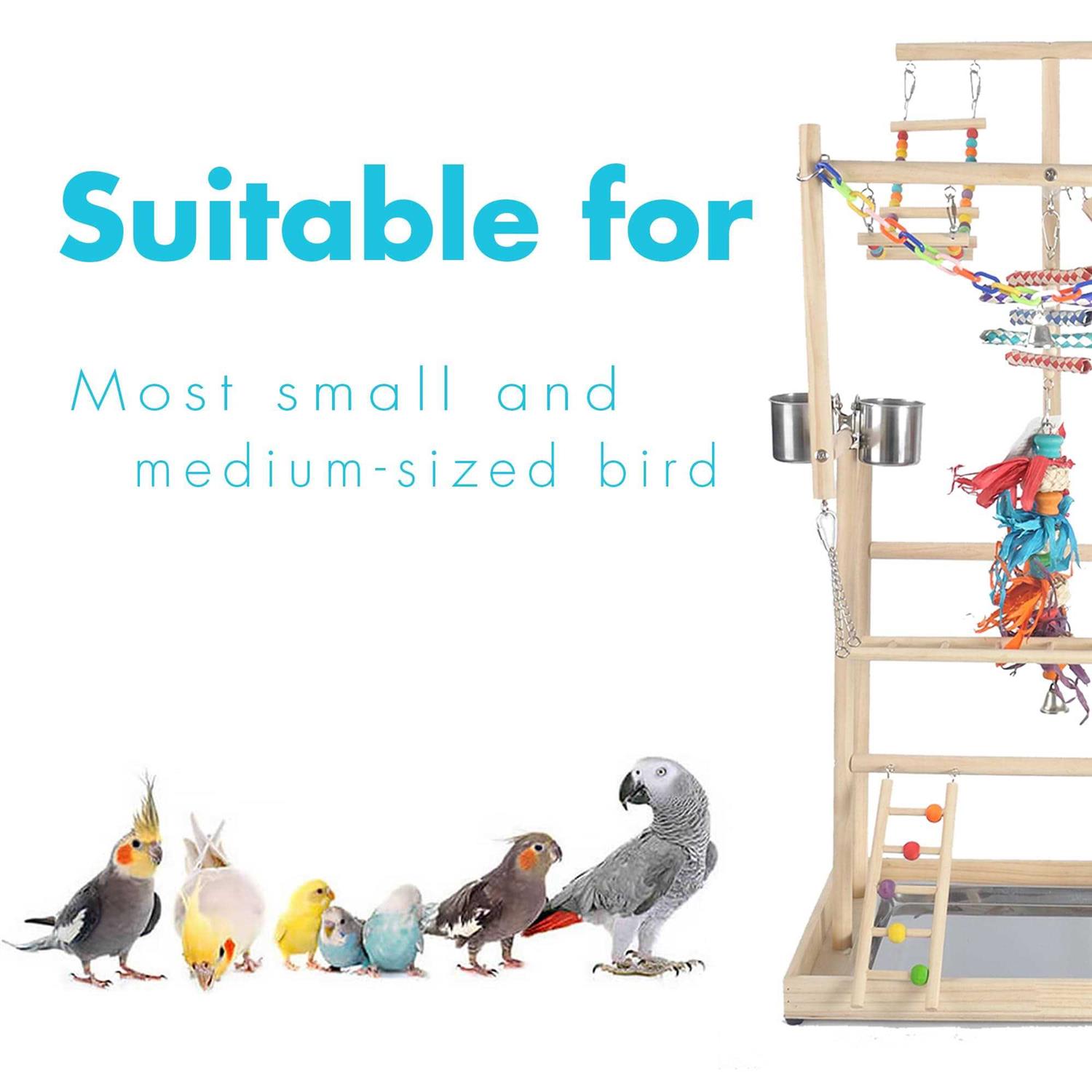 Parrot Playground Large 4 Layers Small Bird Playground Parakeet Bird Play Stand Bird Gym Parrot playpen Play Parrot Playstand Parrot tree
